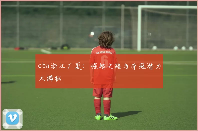 cba浙江广夏:崛起之路与夺冠潜力大揭秘