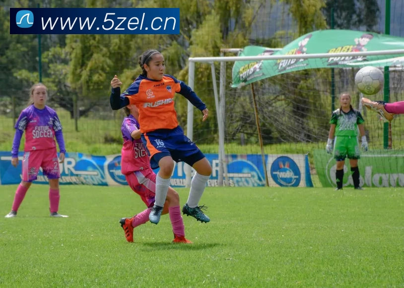 怀特塞德cba数据大揭秘!惊人表现背后藏着啥秘密?